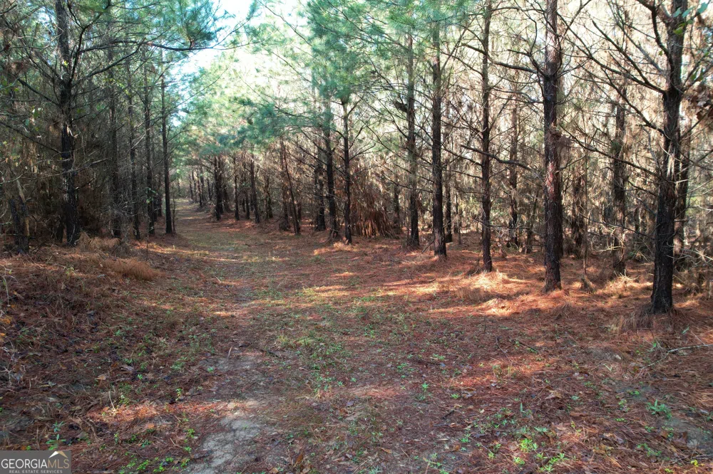 0 Burtons Ferry HWY Sylvania, GA 30467