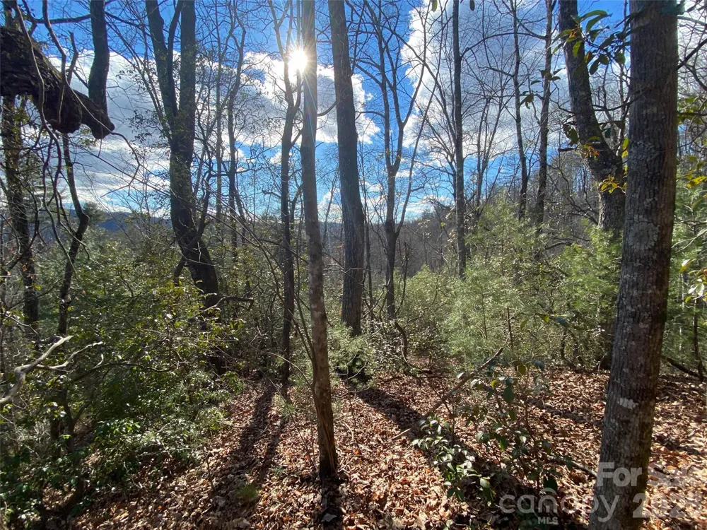 999 High Point Trail #32 Brevard, NC 28712
