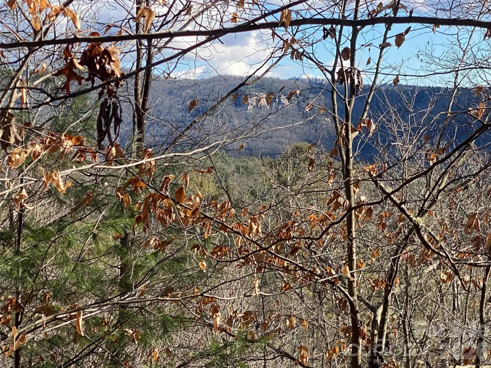 999 High Point Trail #32 Brevard, NC 28712