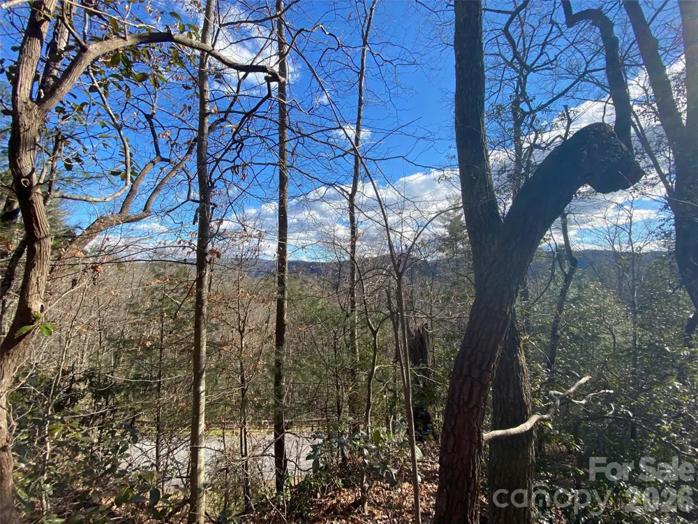 999 High Point Trail #32 Brevard, NC 28712
