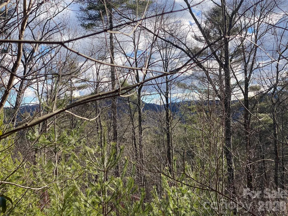 999 High Point Trail #32 Brevard, NC 28712