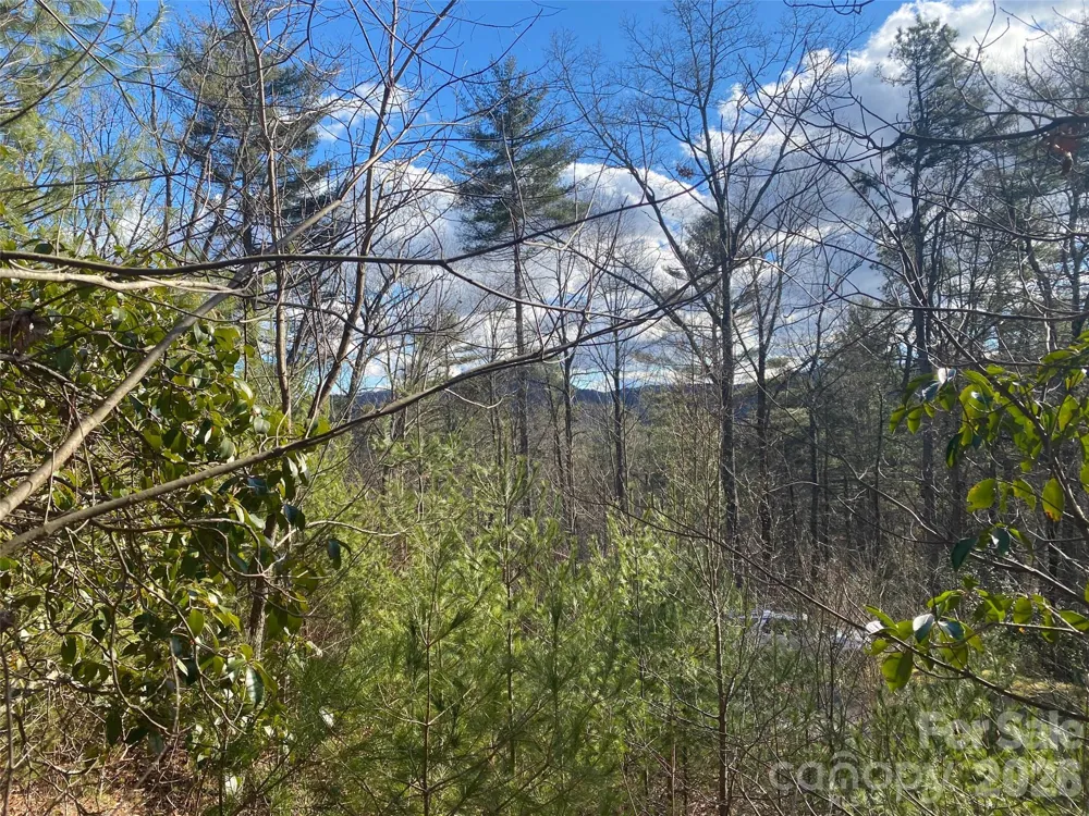 999 High Point Trail #32 Brevard, NC 28712