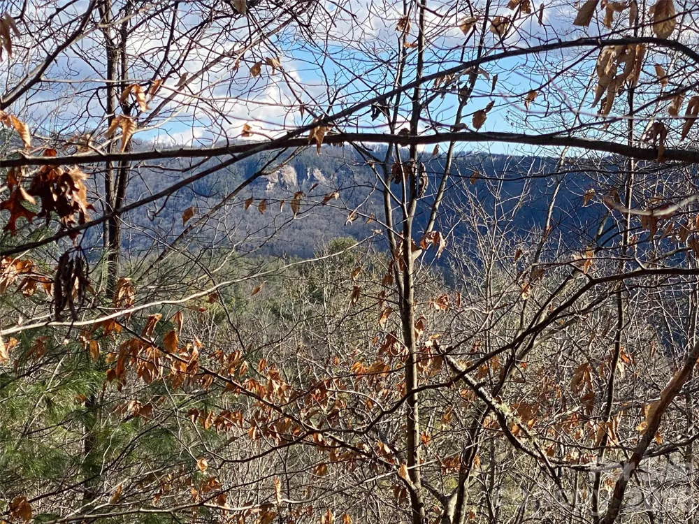 999 High Point Trail #32 Brevard, NC 28712