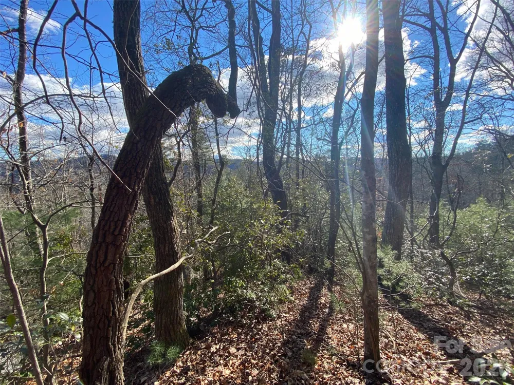 999 High Point Trail #32 Brevard, NC 28712