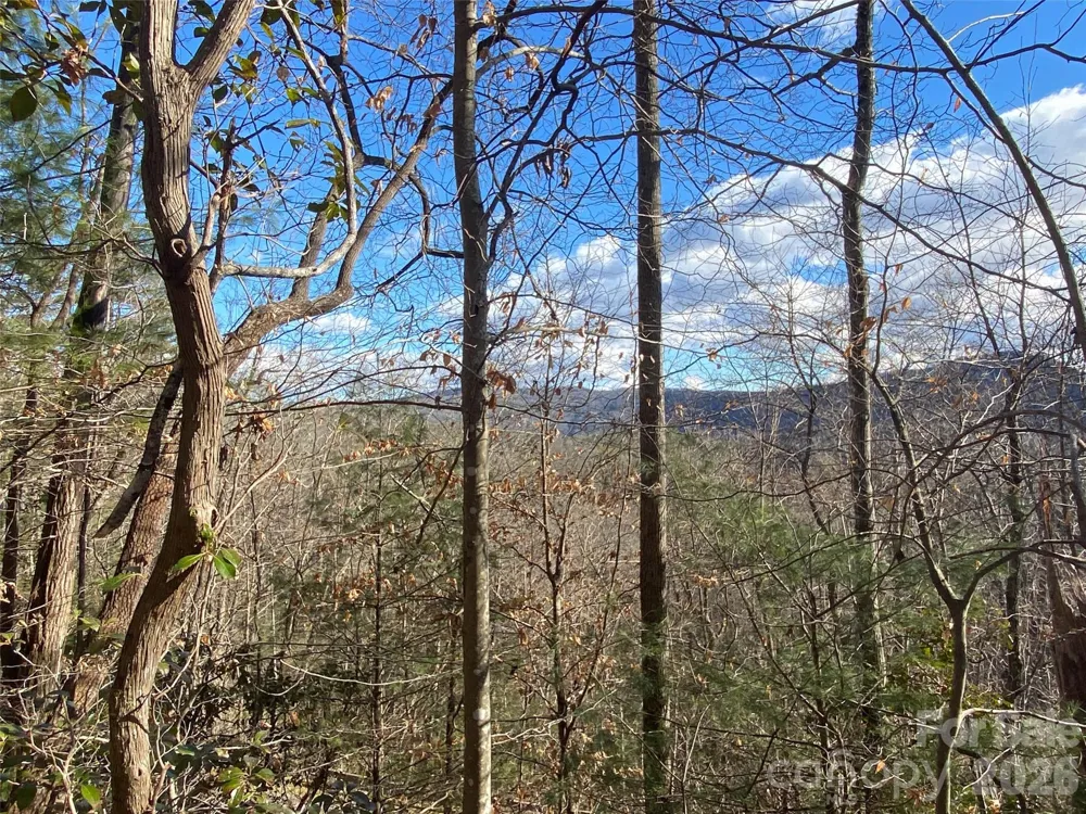 999 High Point Trail #32 Brevard, NC 28712
