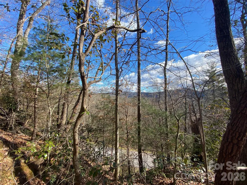 999 High Point Trail #32 Brevard, NC 28712