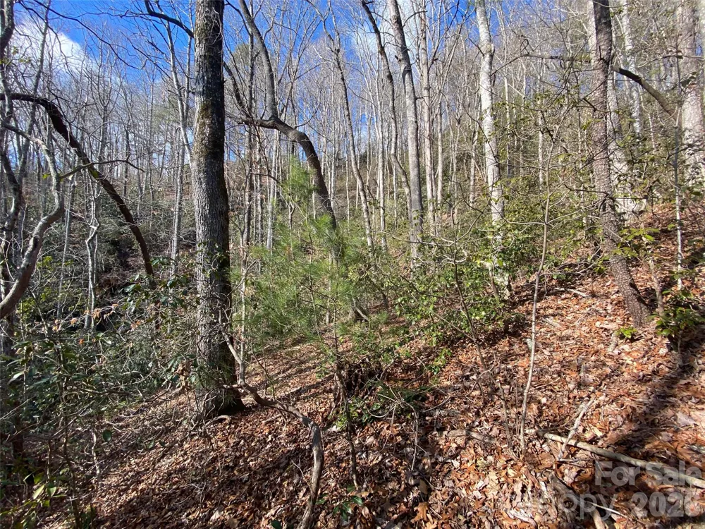 999 High Point Trail #32 Brevard, NC 28712