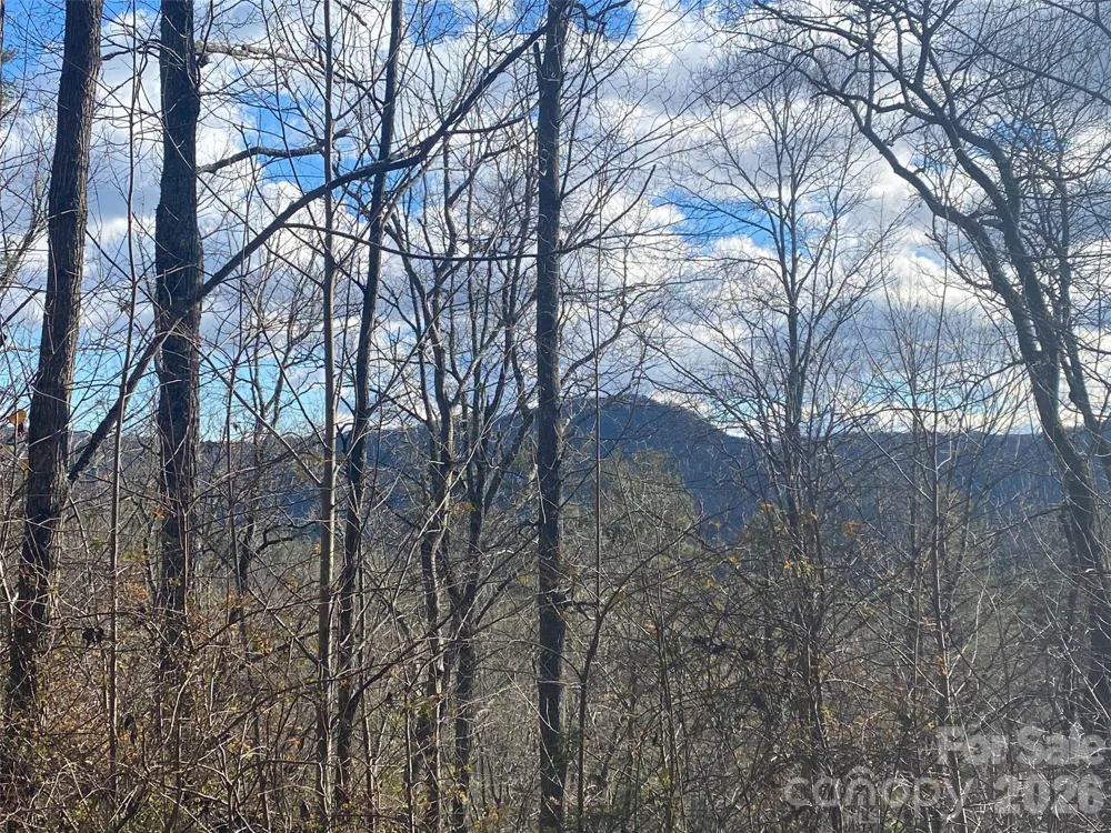 999 High Point Trail #32 Brevard, NC 28712