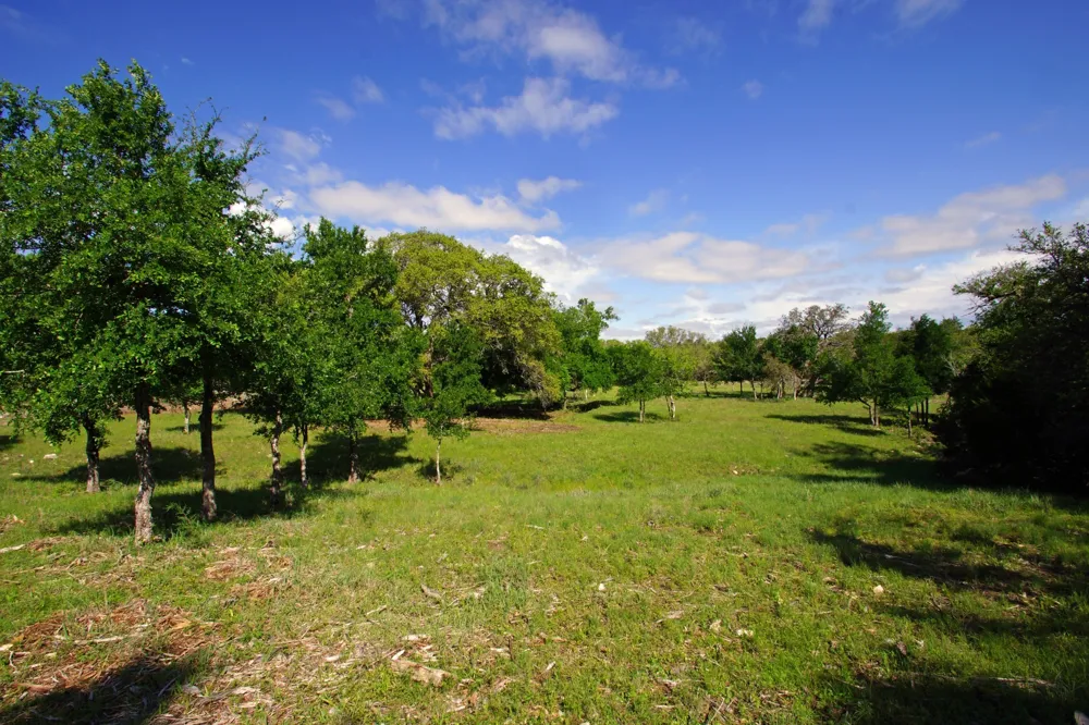 48 Bridget Court Briggs, TX 78608