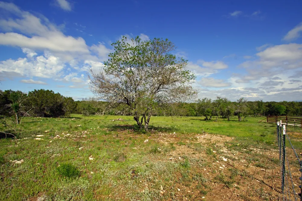 48 Bridget Court Briggs, TX 78608