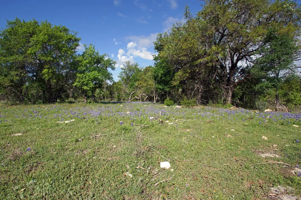 48 Bridget Court Briggs, TX 78608