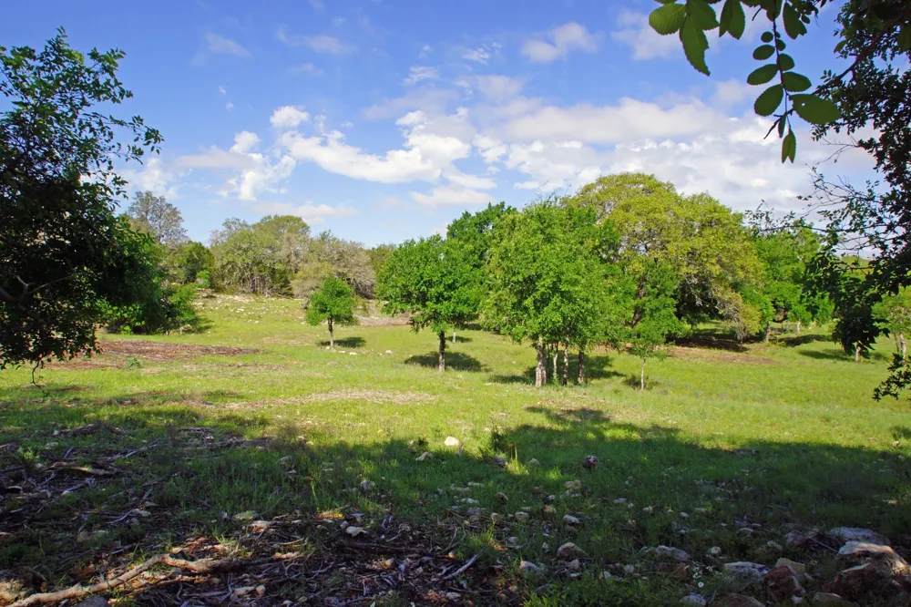 48 Bridget Court Briggs, TX 78608