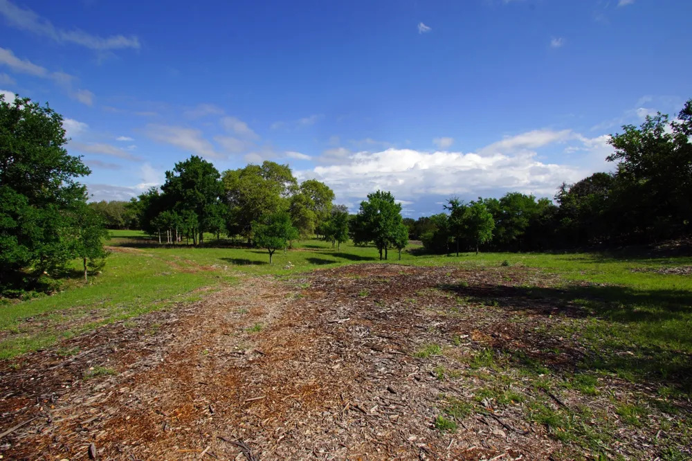 48 Bridget Court Briggs, TX 78608