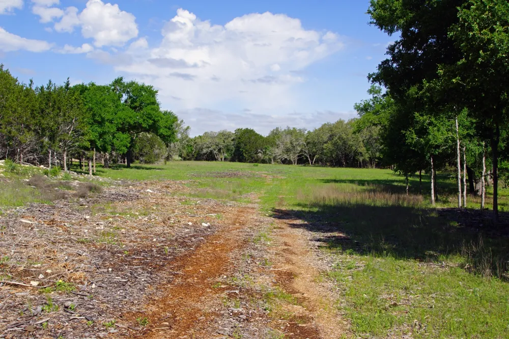 48 Bridget Court Briggs, TX 78608