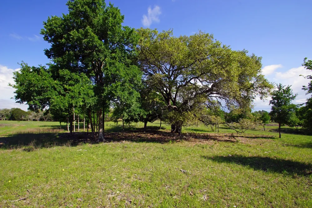 48 Bridget Court Briggs, TX 78608