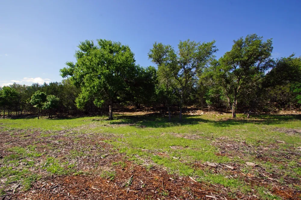 48 Bridget Court Briggs, TX 78608