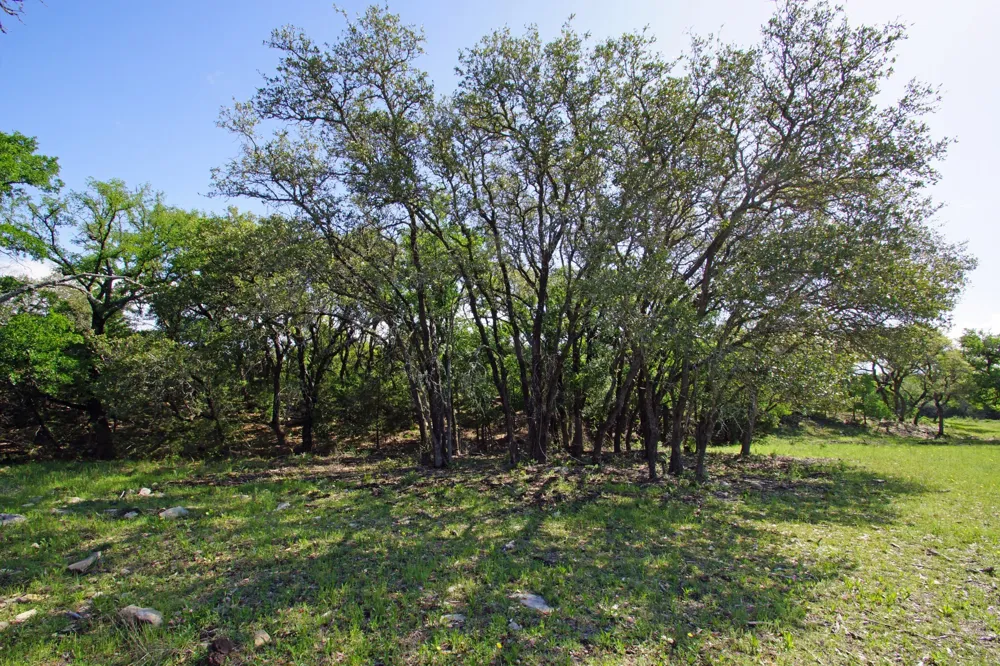 48 Bridget Court Briggs, TX 78608