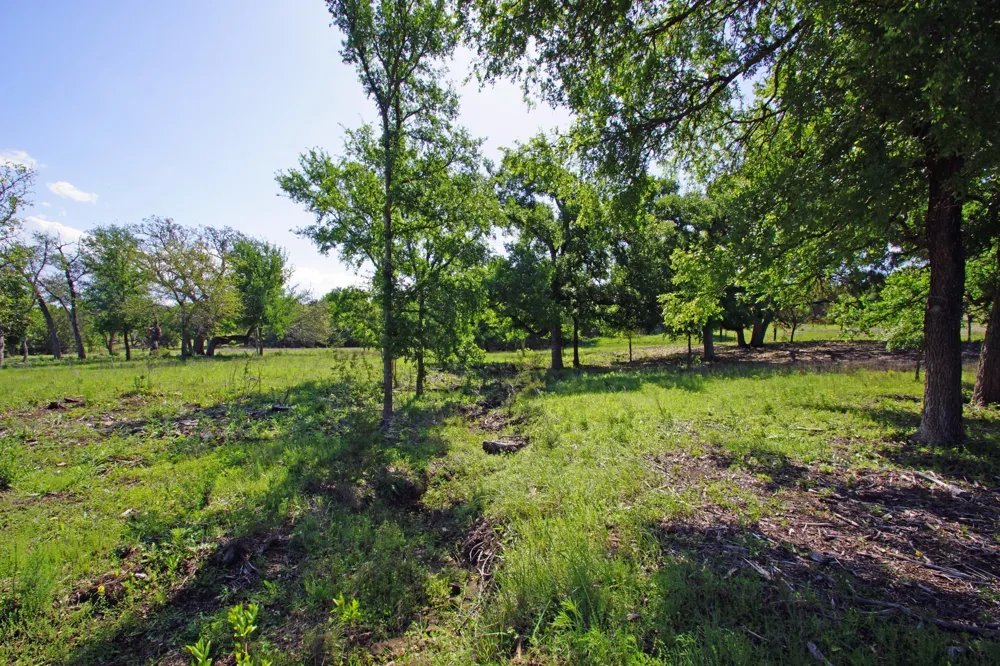 48 Bridget Court Briggs, TX 78608