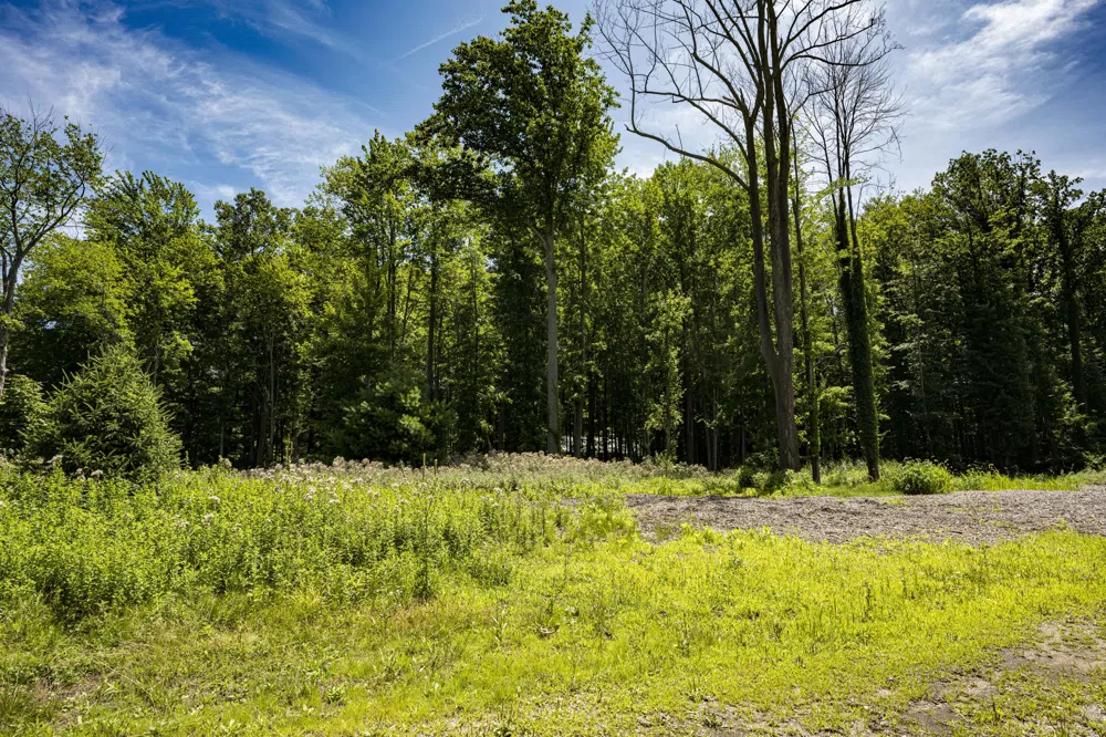 Youngren Road Harbert, MI 49115