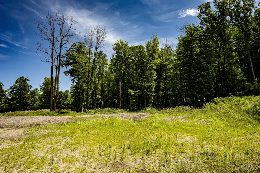 Youngren Road Harbert, MI 49115