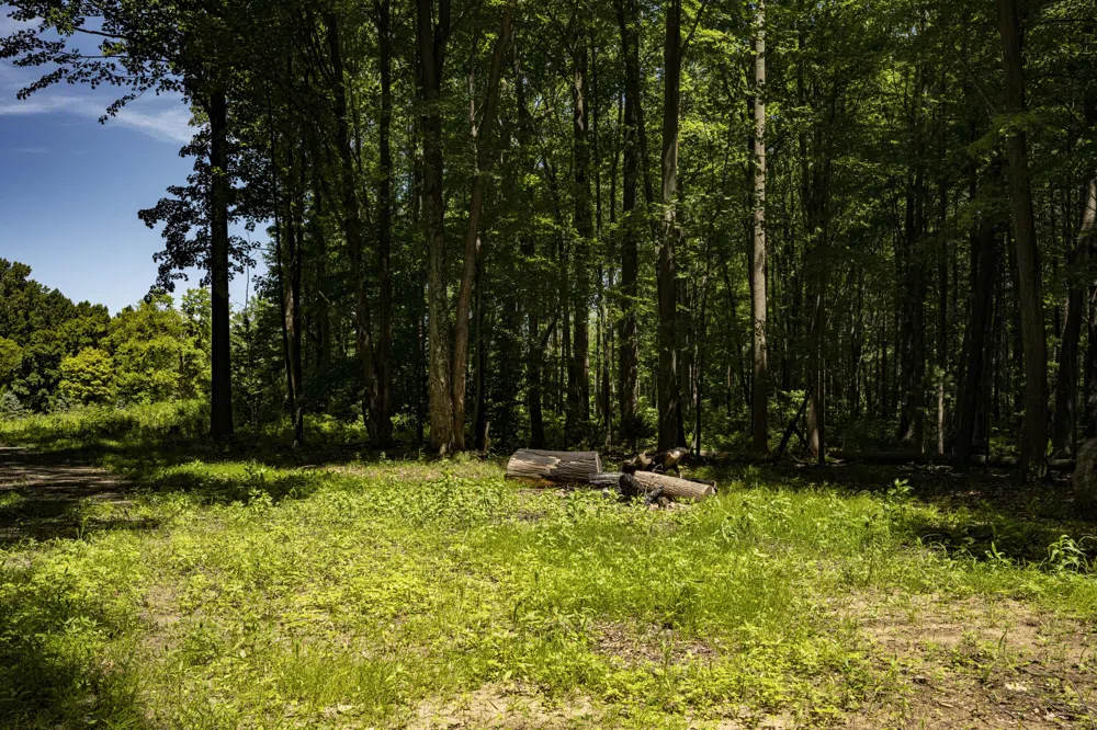 Youngren Road Harbert, MI 49115