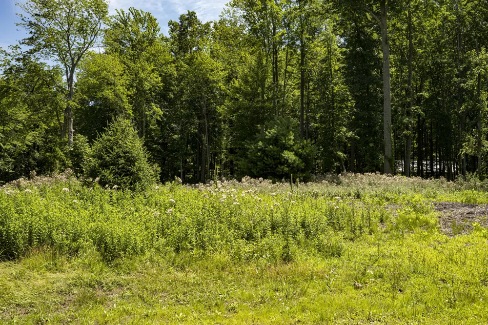 Youngren Road Harbert, MI 49115