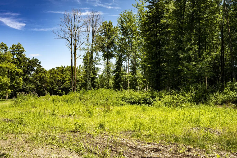 Youngren Road Harbert, MI 49115