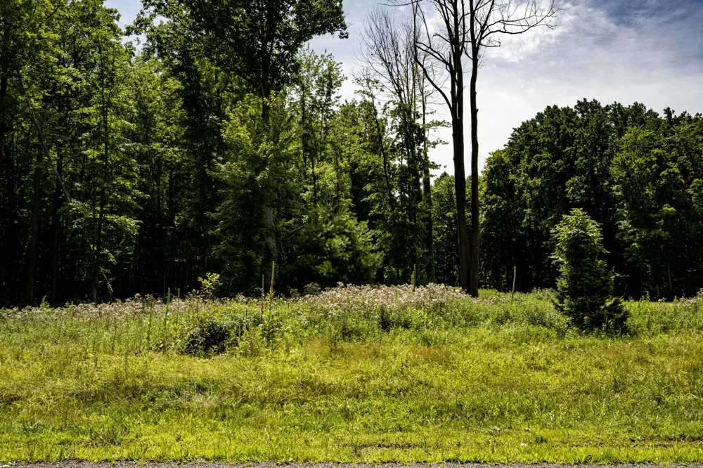 Youngren Road Harbert, MI 49115