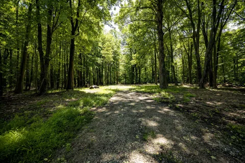 Youngren Road