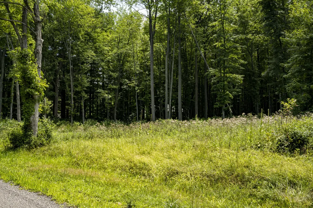 Youngren Road Harbert, MI 49115