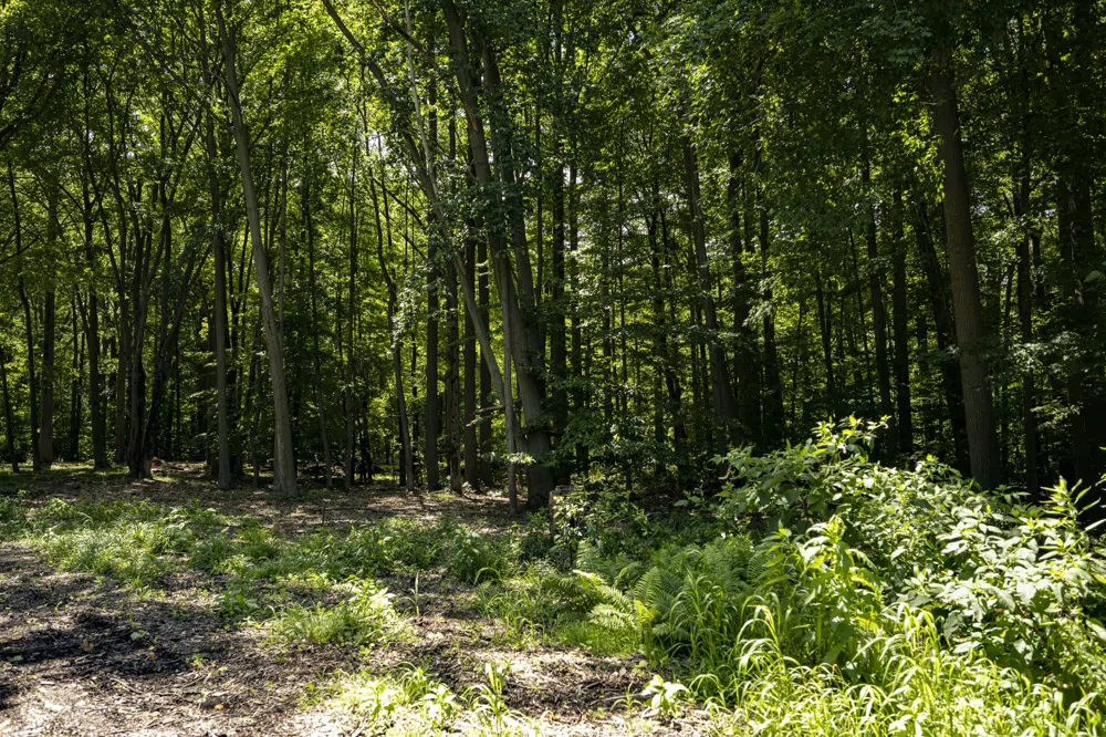 Youngren Road Harbert, MI 49115