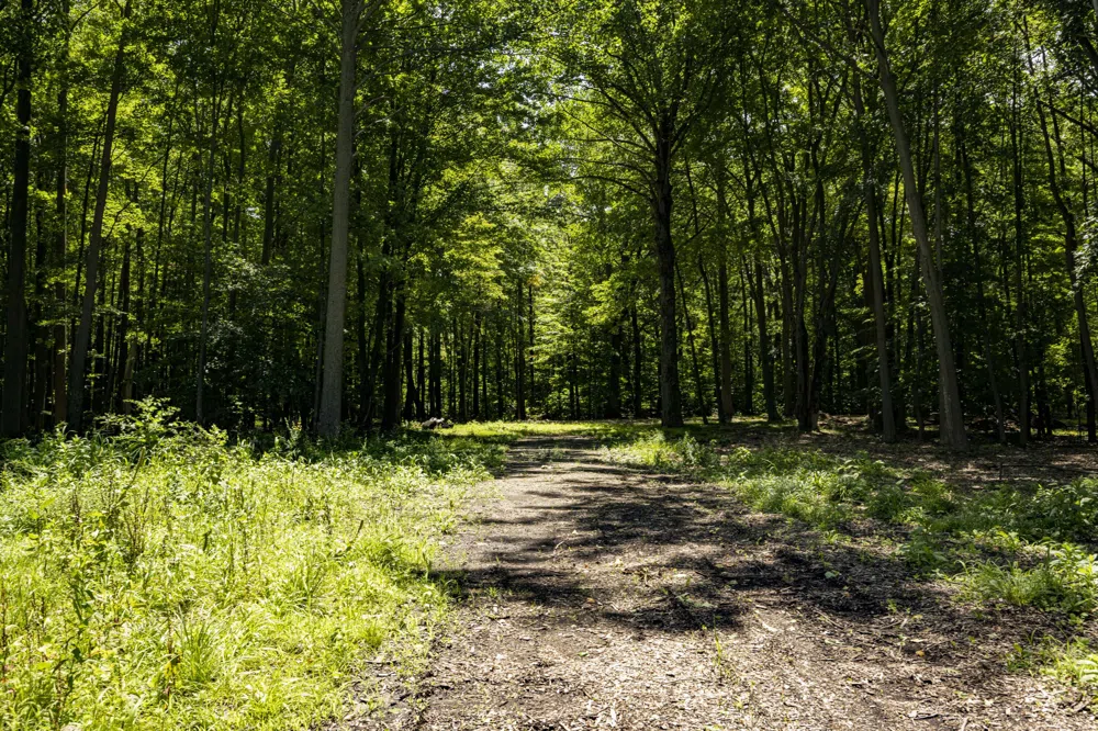 Youngren Road Harbert, MI 49115