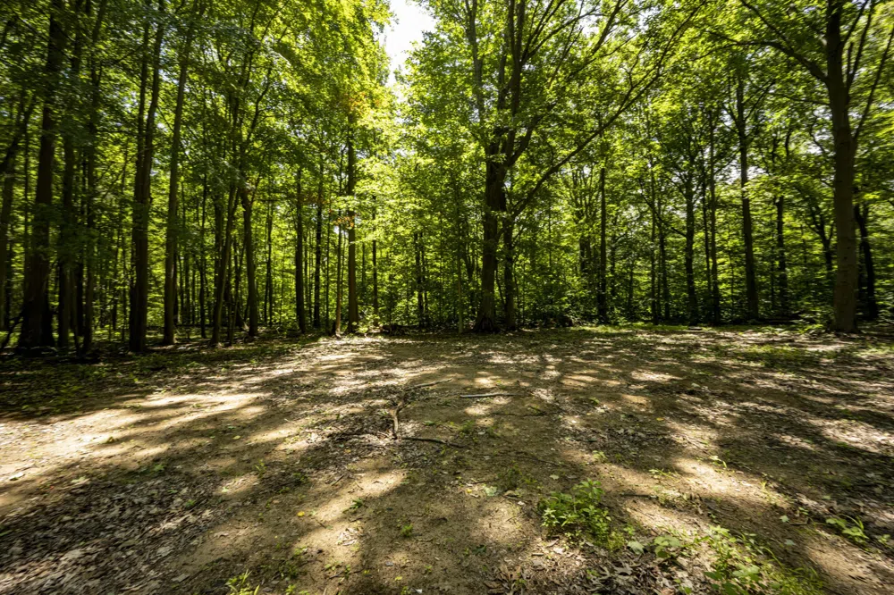 Youngren Road Harbert, MI 49115