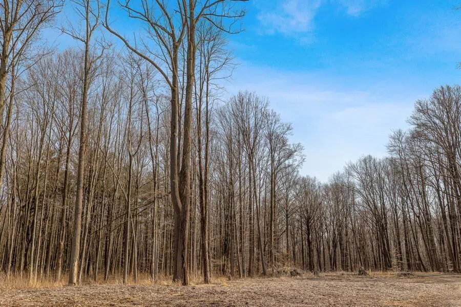 Youngren Road Harbert, MI 49115