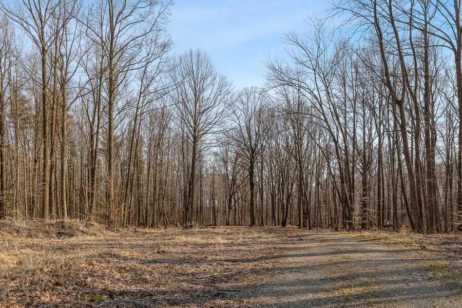 Youngren Road Harbert, MI 49115