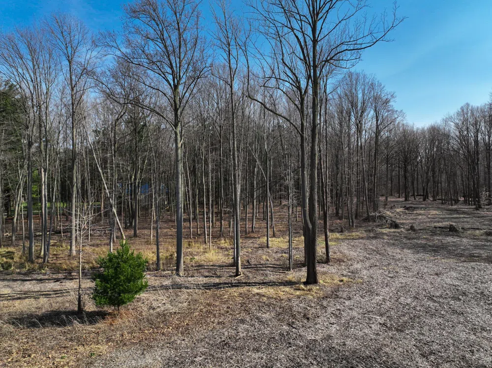 Youngren Road Harbert, MI 49115