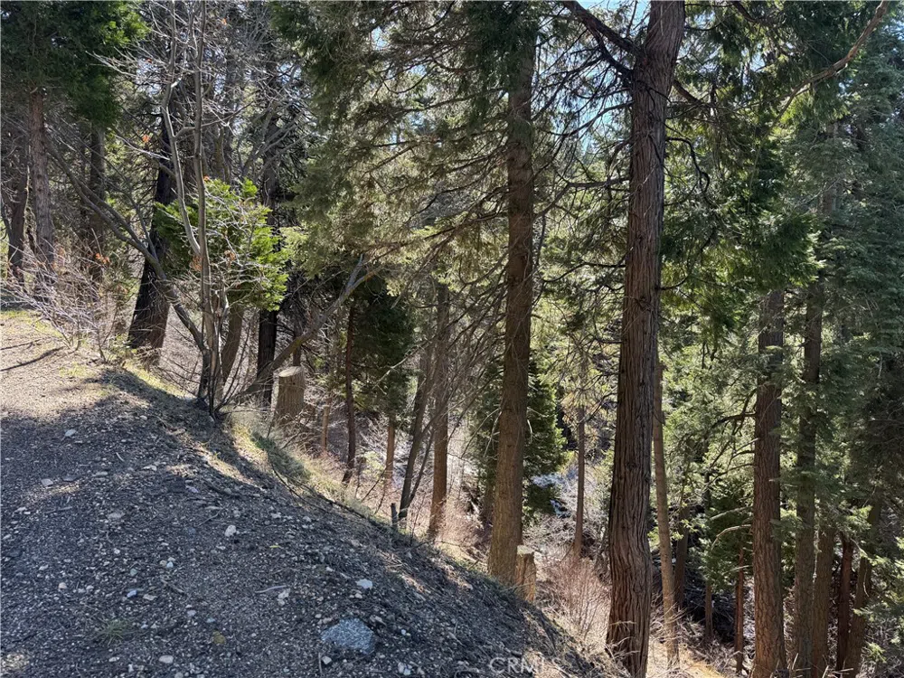 Sunderland Court Lake Arrowhead, CA 92352