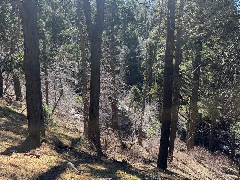 Sunderland Court Lake Arrowhead, CA 92352