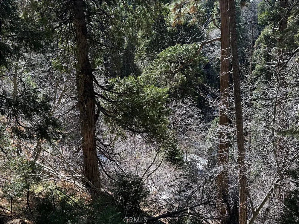 Sunderland Court Lake Arrowhead, CA 92352