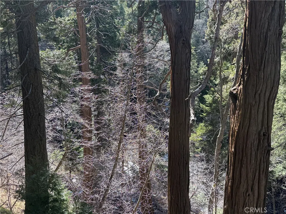 Sunderland Court Lake Arrowhead, CA 92352