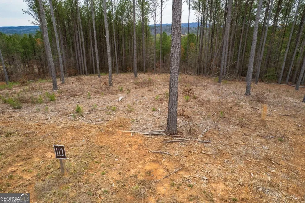 LOT 112 Blalock Mountain RD Talking Rock, GA 30175
