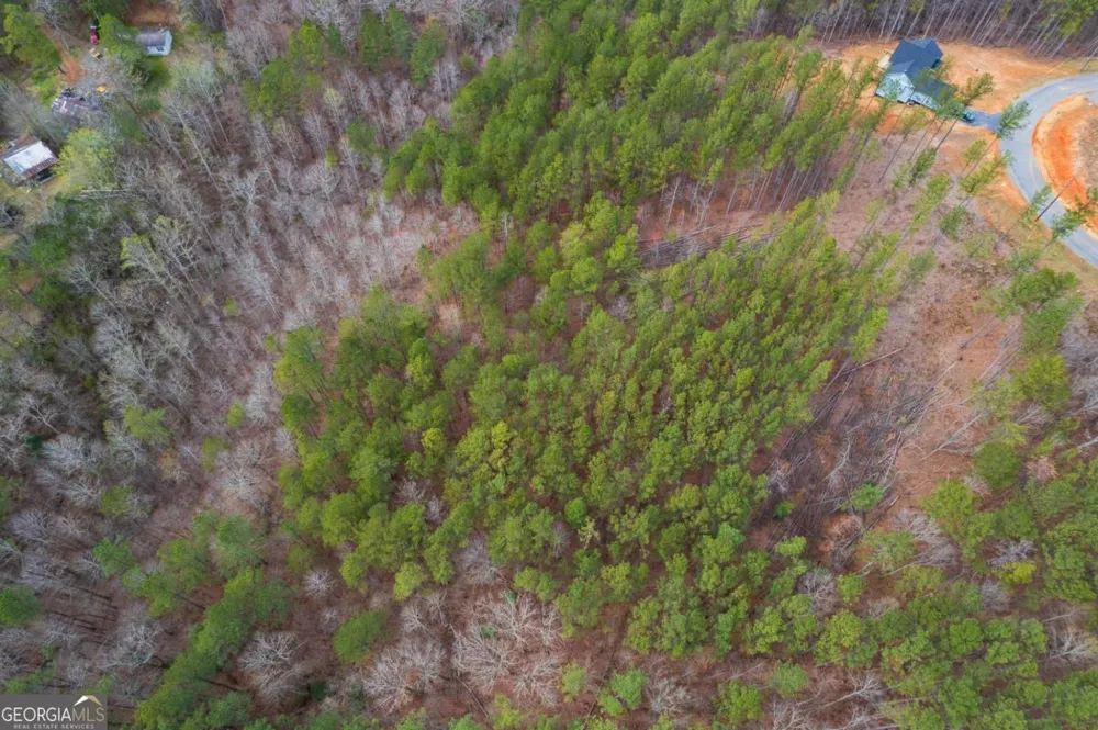 LOT 112 Blalock Mountain RD Talking Rock, GA 30175