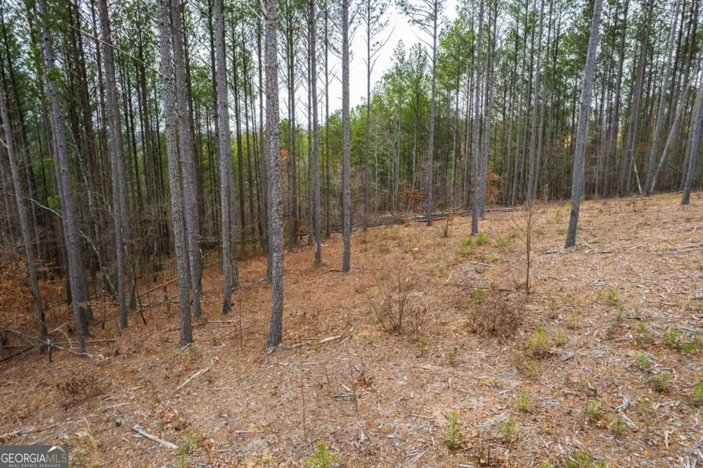 LOT 112 Blalock Mountain RD Talking Rock, GA 30175