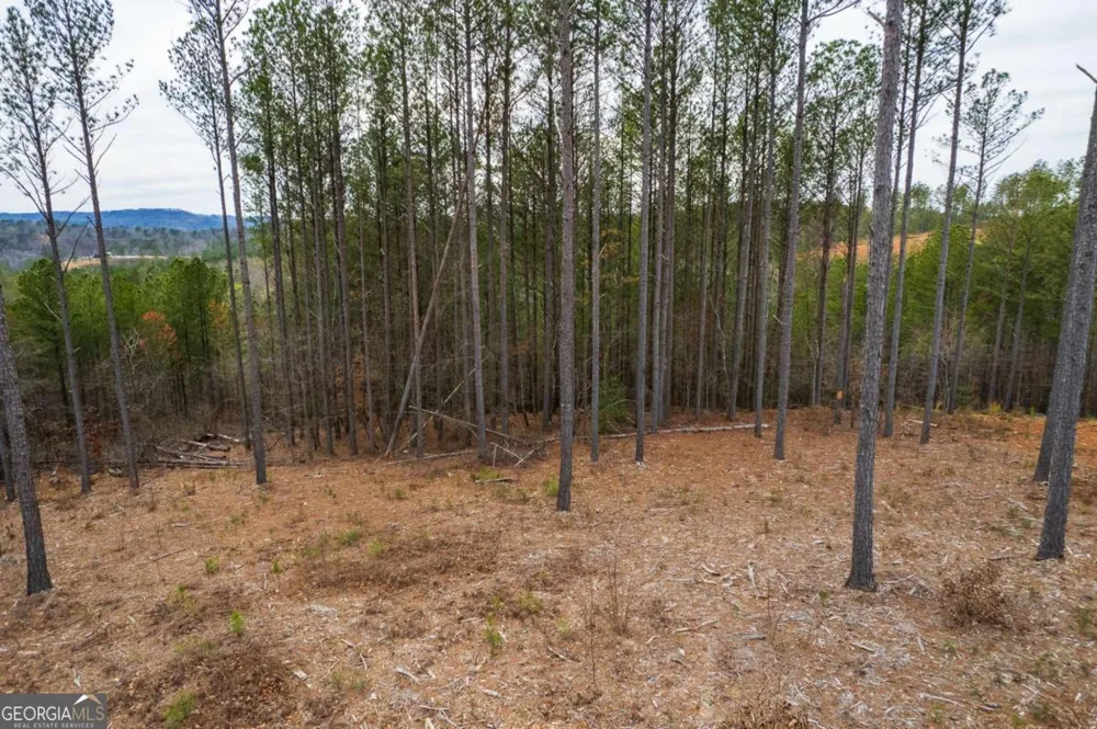 LOT 112 Blalock Mountain RD Talking Rock, GA 30175