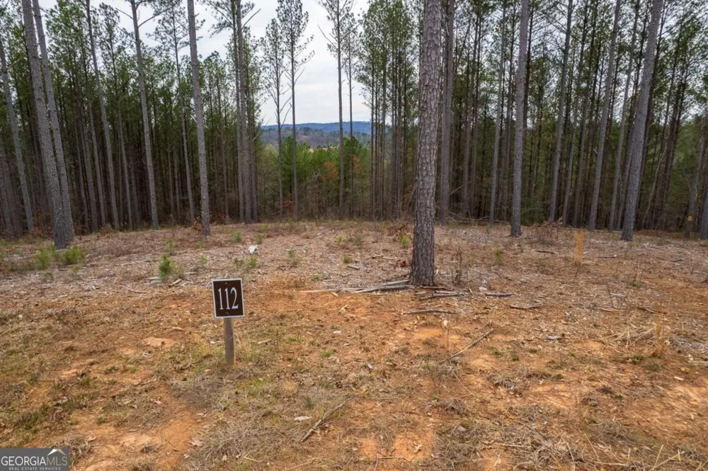 LOT 112 Blalock Mountain RD Talking Rock, GA 30175