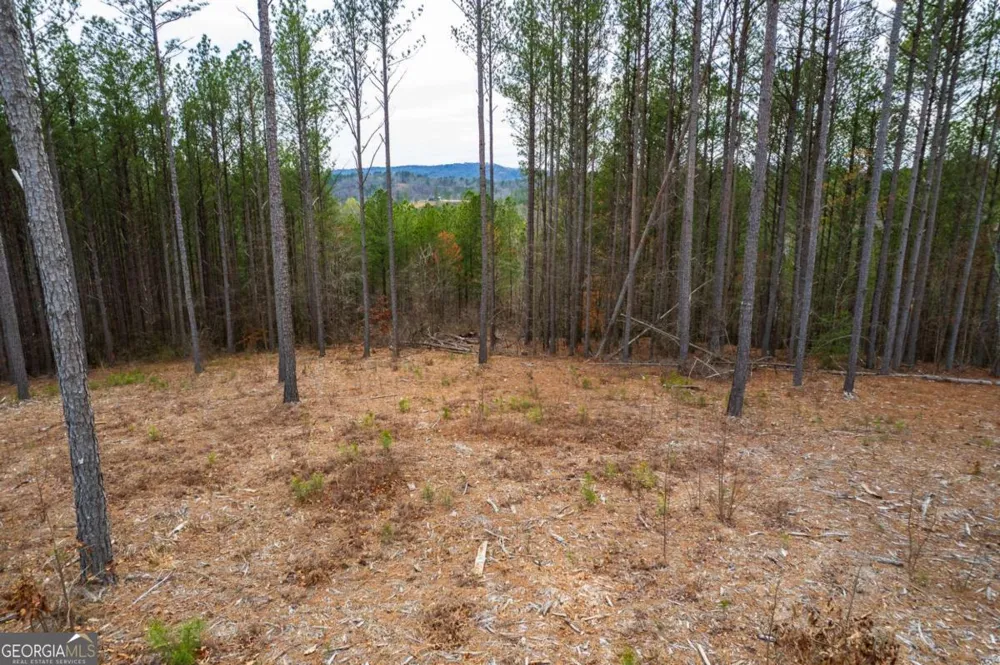 LOT 112 Blalock Mountain RD Talking Rock, GA 30175
