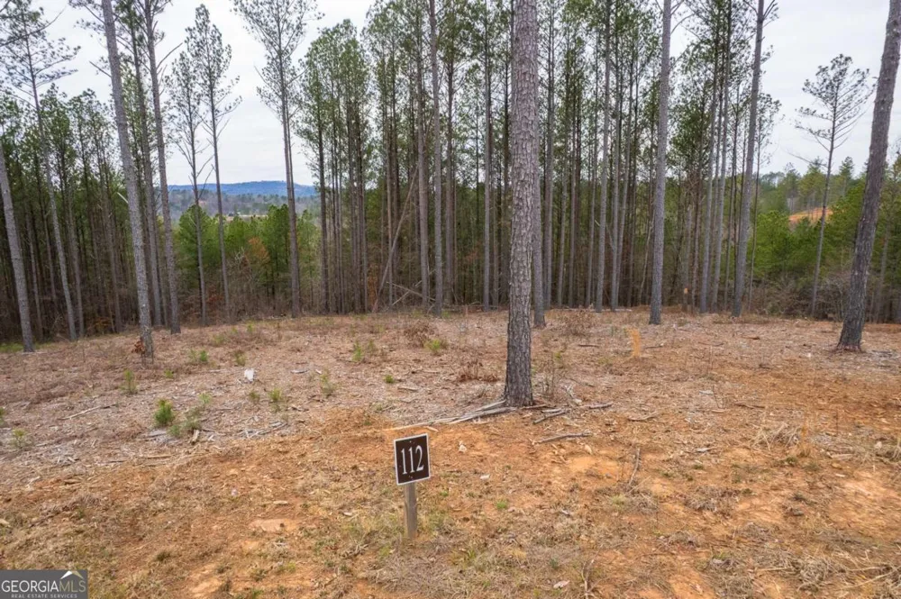 LOT 112 Blalock Mountain RD Talking Rock, GA 30175