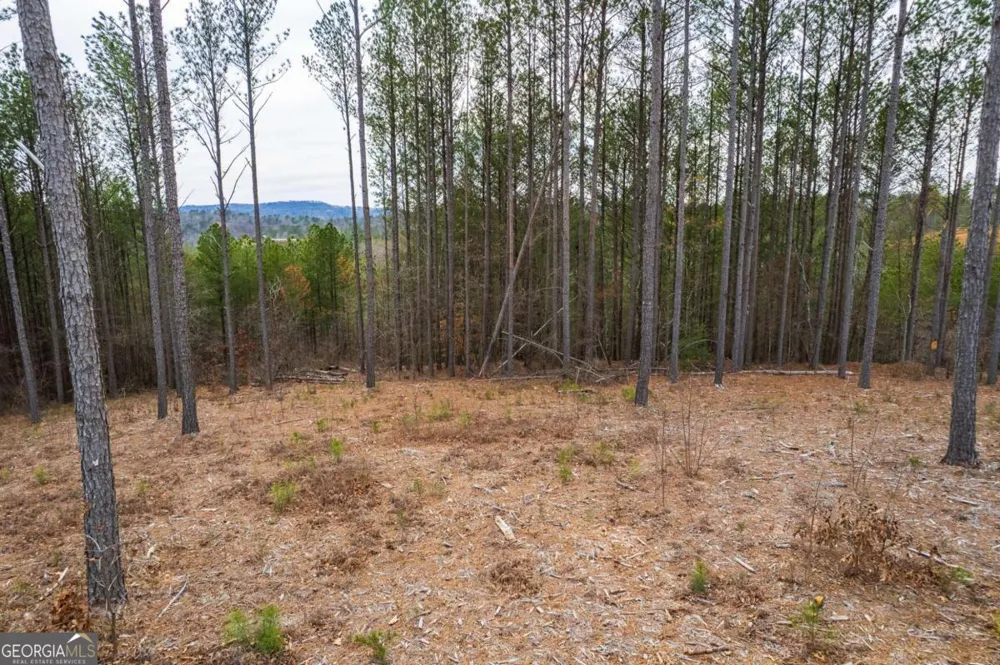 LOT 112 Blalock Mountain RD Talking Rock, GA 30175