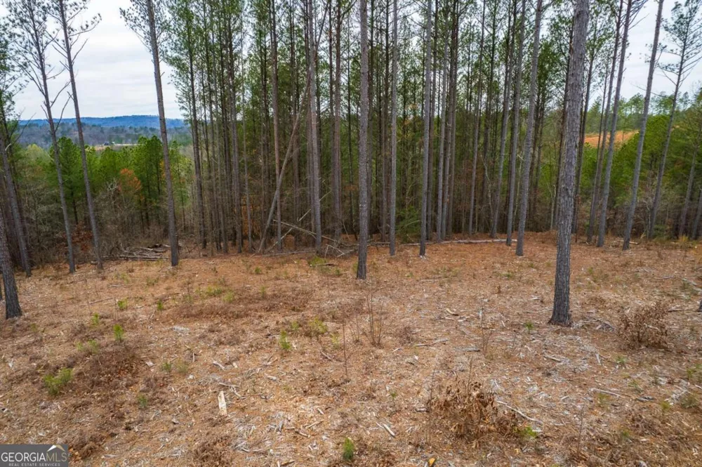 LOT 112 Blalock Mountain RD Talking Rock, GA 30175
