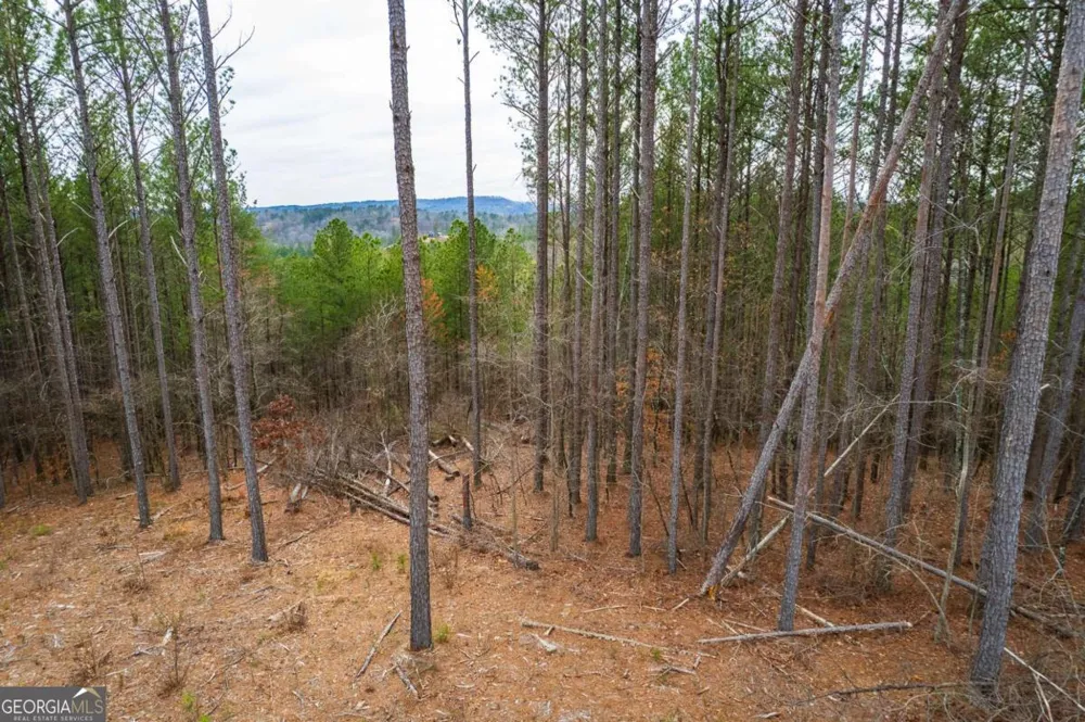 LOT 112 Blalock Mountain RD Talking Rock, GA 30175